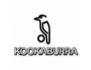 Kookaburra